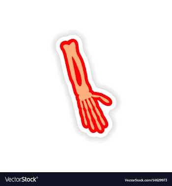 Paper sticker on white background arm bone vector image