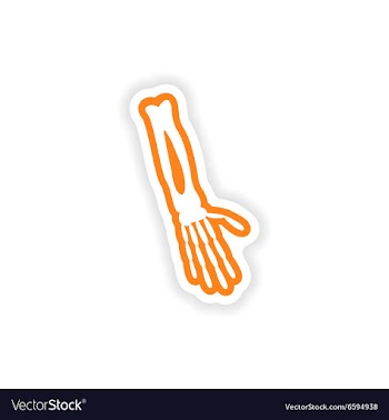Paper sticker on white background arm bone vector image