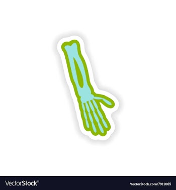 Paper sticker on white background arm bone vector image
