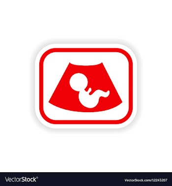 Paper sticker on white background baby ultrasound vector image