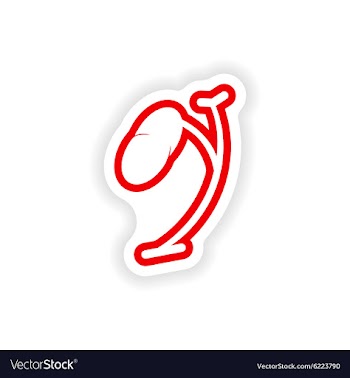 Paper sticker on white background body spleen vector image