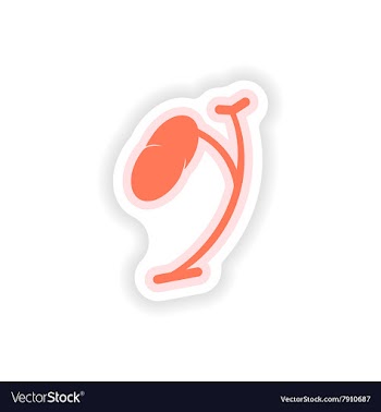 Paper sticker on white background body spleen vector image