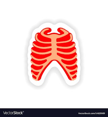 Paper sticker on white background bone ribs vector image