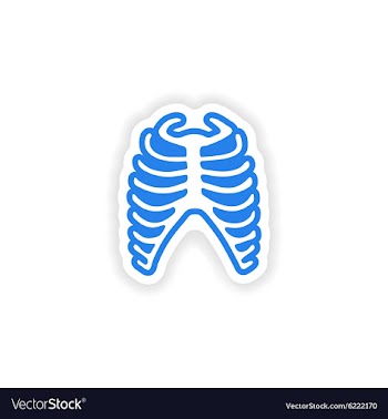 Paper sticker on white background bone ribs vector image