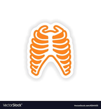 Paper sticker on white background bone ribs vector image