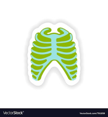 Paper sticker on white background bone ribs vector image