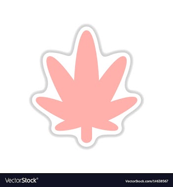 Paper sticker on white background cannabis vector image