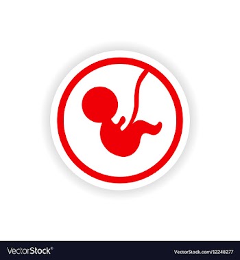 Paper sticker on white background child in womb vector image