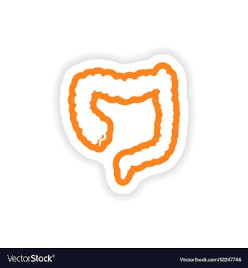 Paper sticker on white background Duodenum human vector image