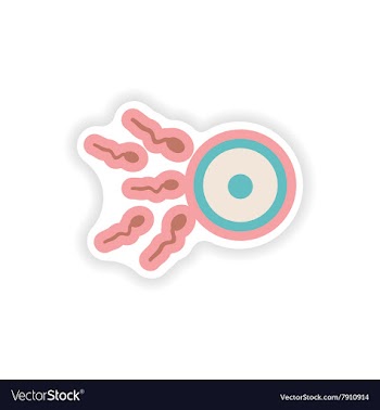 Paper sticker on white background female egg and vector image