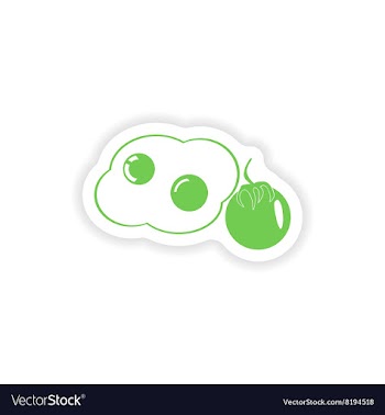 Paper sticker on white background fried eggs vector image