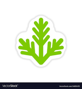 Paper sticker on white background fur-tree branch vector image