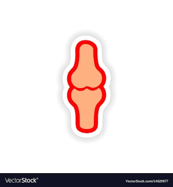 Paper sticker on white background human bones vector image