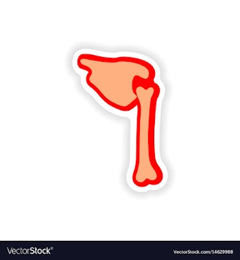 Paper sticker on white background human bones vector image