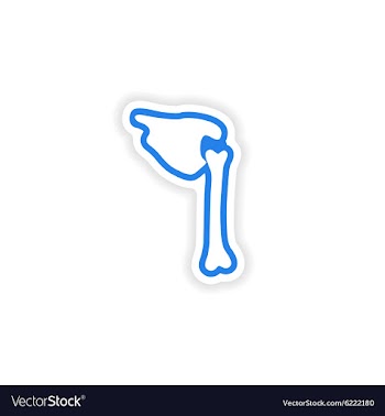 Paper sticker on white background human bones vector image