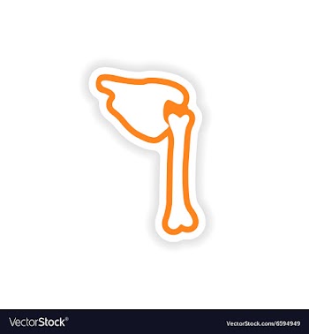 Paper sticker on white background human bones vector image
