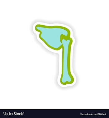 Paper sticker on white background human bones vector image
