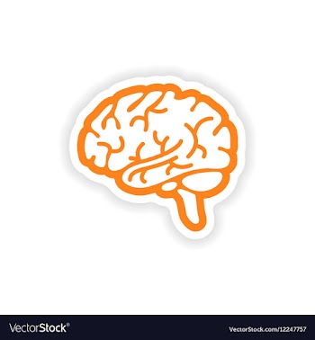 Paper sticker on white background human brain vector image