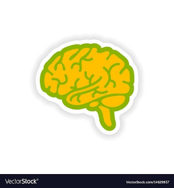 Paper sticker on white background human brain vector image
