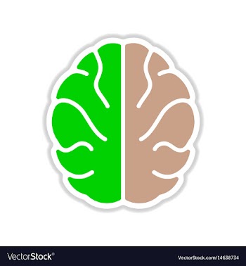 Paper sticker on white background human brain vector image