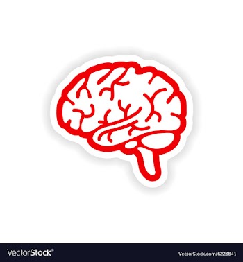 Paper sticker on white background human brain vector image