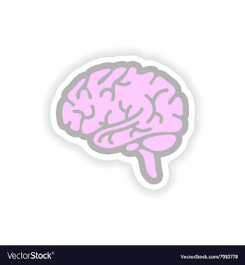 Paper sticker on white background human brain vector image