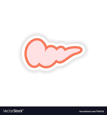 Paper sticker on white background human gall vector image