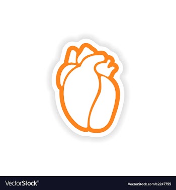 Paper sticker on white background human heart vector image