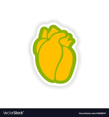Paper sticker on white background human heart vector image