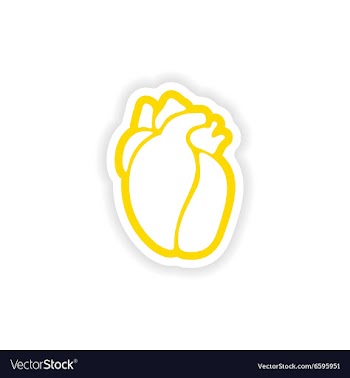 Paper sticker on white background human heart vector image