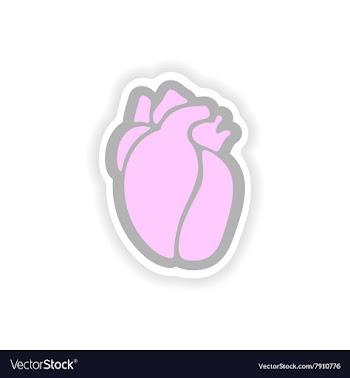 Paper sticker on white background human heart vector image