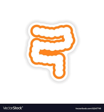 Paper sticker on white background human intestine vector image