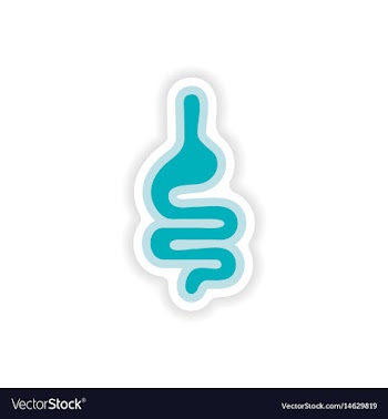 Paper sticker on white background human intestine vector image