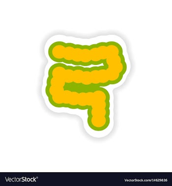 Paper sticker on white background human intestine vector image