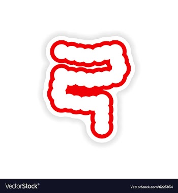 Paper sticker on white background human intestine vector image