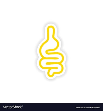 Paper sticker on white background human intestine vector image