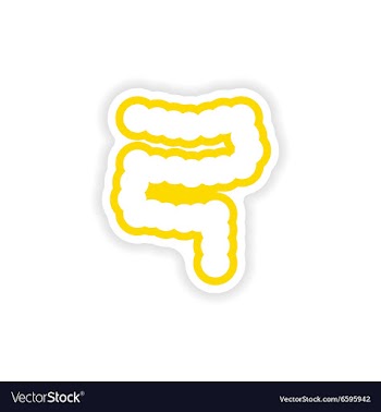 Paper sticker on white background human intestine vector image