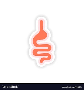 Paper sticker on white background human intestine vector image