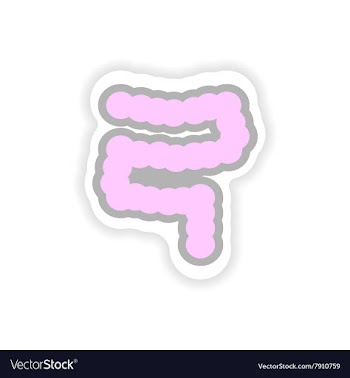 Paper sticker on white background human intestine vector image