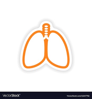 Paper sticker on white background human lungs vector image