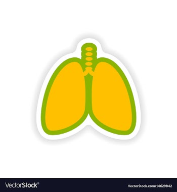 Paper sticker on white background human lungs vector image