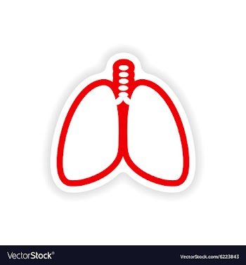 Paper sticker on white background human lungs vector image