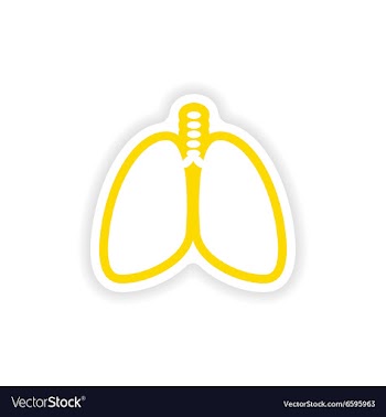 Paper sticker on white background human lungs vector image