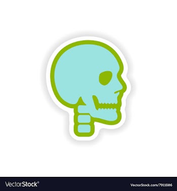 Paper sticker on white background human skull vector image