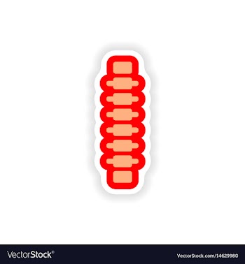 Paper sticker on white background human spine vector image