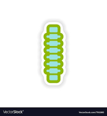 Paper sticker on white background human spine vector image