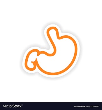 Paper sticker on white background human stomach vector image