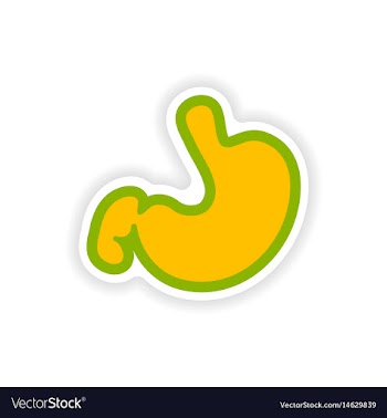 Paper sticker on white background human stomach vector image