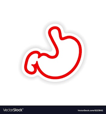 Paper sticker on white background human stomach vector image