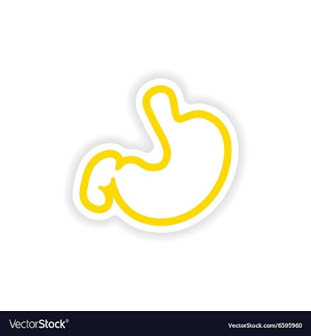Paper sticker on white background human stomach vector image